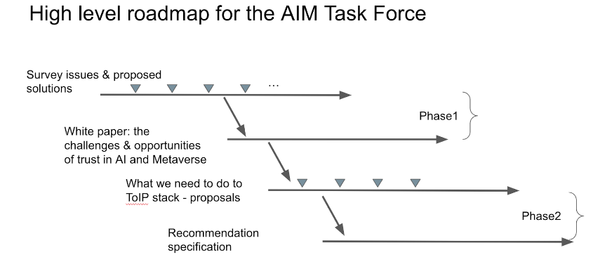 High level roadmap for the AIM Task Force